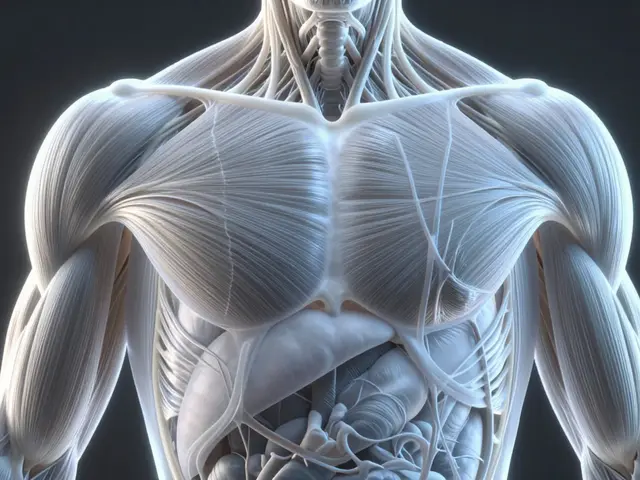 Myofascial Release Therapy: How It Actually Works to Relieve Pain