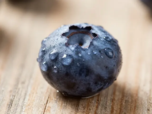 The Health Benefits of Blueberries: Small but Powerful